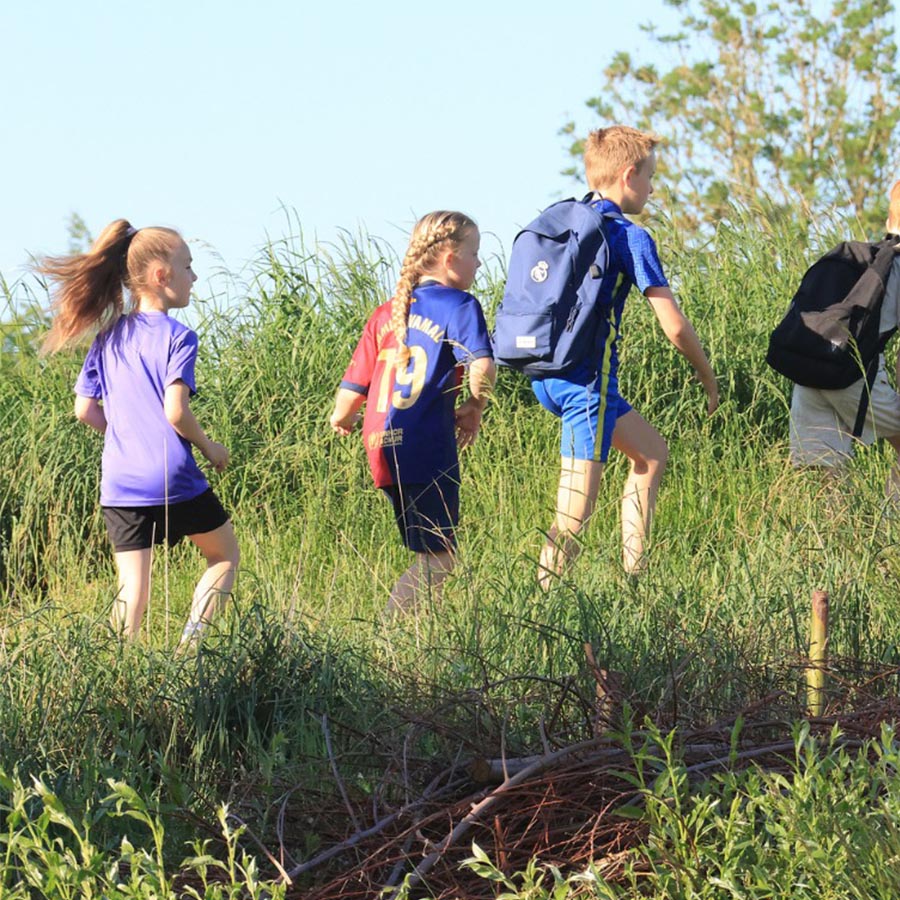 Interactive Workshops